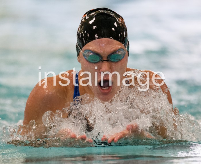 Shelby Koontz