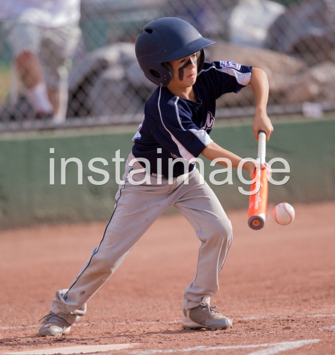 Carson City Little League All Star