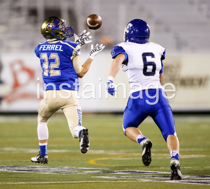 Touchdown Reed